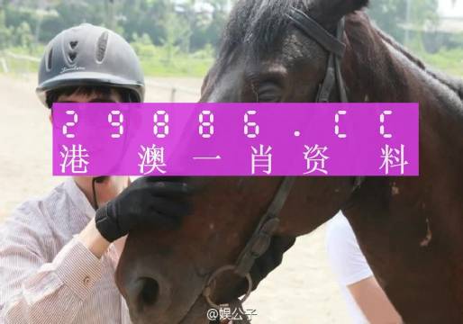 澳门今晚一肖必中,现状解答解释定义_轻量版47.222